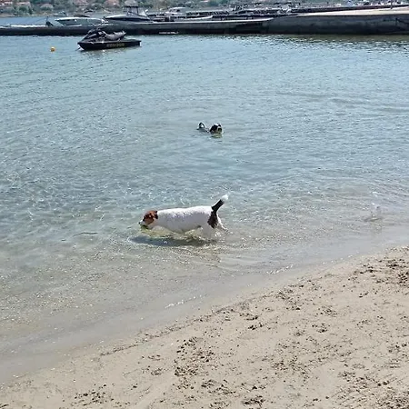 Mira I Denis Apartman Supetarska Draga